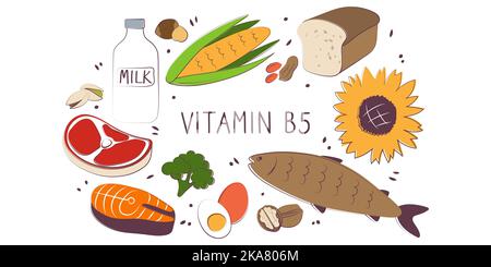 Vitamin B5 Pantothenic acid. Groups of healthy products containing vitamins. Set of fruits, vegetables, meats, fish and dairy Stock Vector