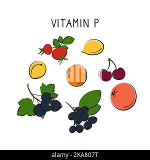 Vitamin P bioflavonoids. Groups of healthy products containing vitamins and minerals. Set of fruits, vegetables, meats, fish and dairy Stock Vector