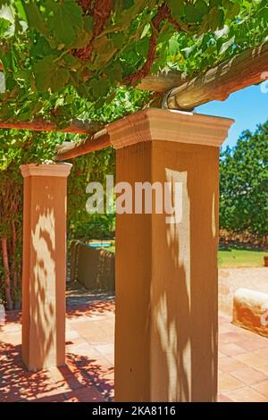 Home of South African wine. Photo from wineyards of the Stellenbosch district , Western Cape Province, South Africa. Stock Photo