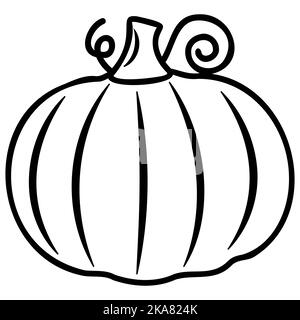 Autumn vegetable pumpkin, black outline, vector isolated illustration in doodle style. Stock Vector