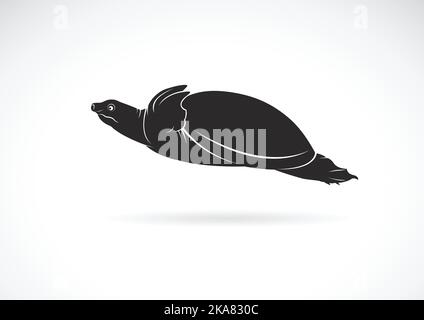 Vector of soft-shelled turtle (Trionychidae) on white background. wild Animals. Turtles logo or icon. Easy editable layered vector illustration. Stock Vector