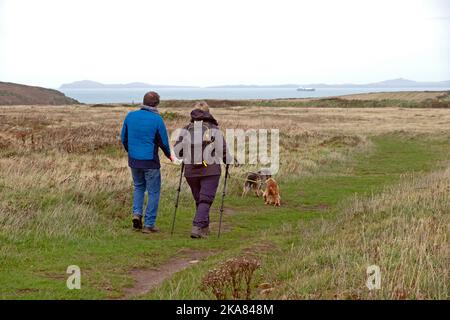 Rear back view of two people couple walking dogs near the Wales coastal path in autumn landscape Marloes Pembrokeshire UK Great Britain KATHY DEWITT Stock Photo