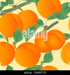 Seamless texture apricots with leaves dessert fruit vector Illustration editable hand draw Stock Vector