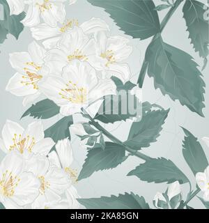 Seamless texture twig spring flower jasmine and buds crack vintage vector illustration  editable hand draw Stock Vector