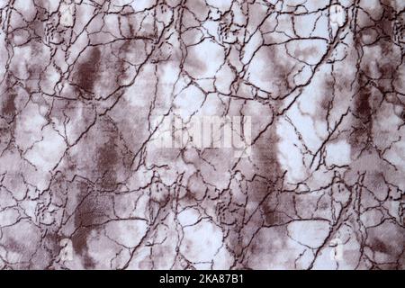 Close-up of decorative carpet models Stock Photo
