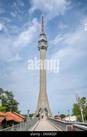 Picture of the Avala tower seen from the nearby forest. The Avala Tower is a 204.68 m tall telecommunications tower located on Mount Avala, in Belgrad Stock Photo