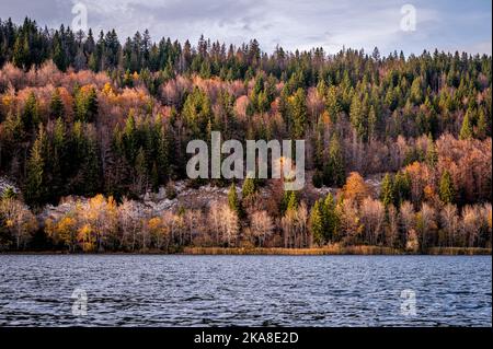 Landscape with mountain, lake and trees in autumn. Lac Brenet. Vallee de Joux, Vaud Canton, Switzerland Stock Photo