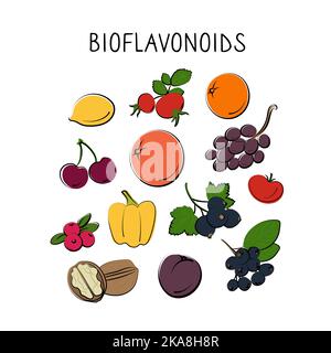 Bioflavonoid-containing food. Groups of healthy products containing vitamins and minerals. Set of fruits, vegetables, meats, fish and dairy. Stock Vector