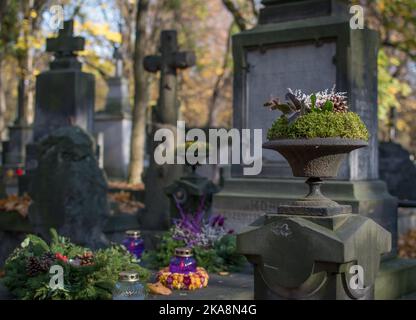 polish cemetery on all saints day, cmenatarz w polsce, wszystkich swietych znicze Stock Photo