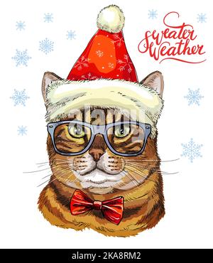 Christmas card with funny cute important cat in christmas hat, glasses. Winter background with snowflakes. Lettering sweater weather. Vector illustrat Stock Vector