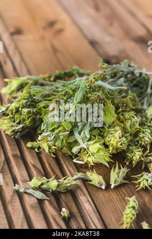 Bunch of dried green ironwort (Sideritis) twigs, also known as Mountain tea - traditional herbal tea in Greece Stock Photo