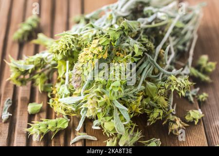 Bunch of dried green ironwort (Sideritis) twigs, also known as Mountain tea - traditional herbal tea in Greece Stock Photo