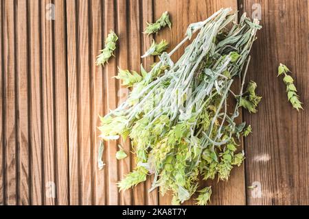 Bunch of dried green ironwort (Sideritis) twigs, also known as Mountain tea - traditional herbal tea in Greece Stock Photo