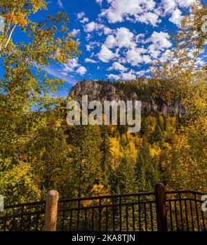 Fall Color in Spearfish Canyon From Spearfish Falls Overlook, Spearfish Canyon State Natural Area, South Dakota, USA Stock Photo