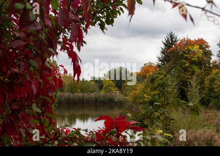 Autumn landscape in a city park, autumn in Moldova. Stock Photo