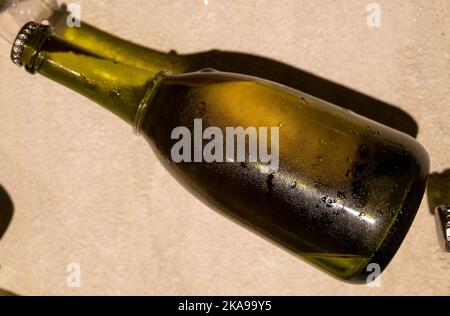 Champagne bottle during second fermentation with lees or dead yeast cells sediment, making champagne sparkling wine from chardonnay and pinor noir gra Stock Photo