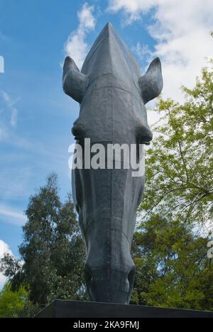 Metal Horse Head sculpture 'Still Water' by Nic Fiddian-Green at RHS Wisley Garden, Surrey Stock Photo