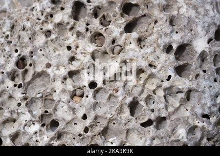 Grained coastal limestone texture with erosion holes. Weathered natural sea stone background for your design. Macro photo. Selective focus Stock Photo