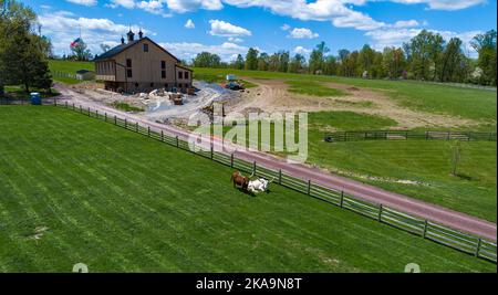 Drone View of Barn Being Built on a Beautiful Countryside With 2 Long Horn Cows Watching on a Spring Day Stock Photo