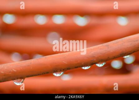 An electric extension cord sits piled on an outdoor table (unplugged of course) with drops of rain on it from a passing storm. Stock Photo