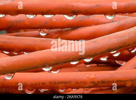 An electric extension cord sits piled on an outdoor table (unplugged of course) with drops of rain on it from a passing storm. Stock Photo