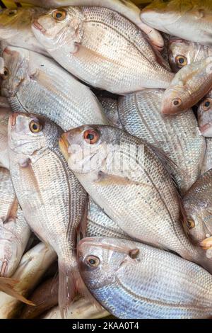 Bream fish for sale at a market in Acre Israel Stock Photo