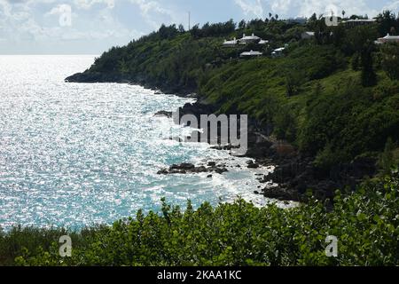 The wild plants and rock formations at the cliffside of the west Whale Bay beach on a sunny day in Southampton Parish, Bermuda Stock Photo