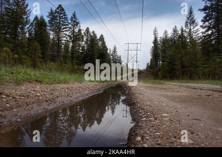 A long puddle in the countryside reflecting the tall, dark trees surrounding it and the cloudy sky Stock Photo