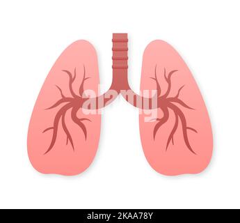Lungs flat style. Vector illustration icon. Isolated vector illustration.Medical icon. Stock Vector