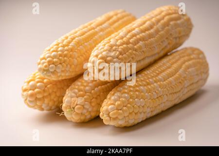 Yellow sweet corn isolated on white background. Copyspace. Stock Photo