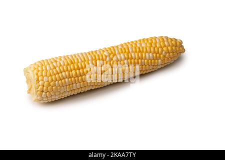 Yellow sweet corn isolated on a white background. Copyspace. Stock Photo