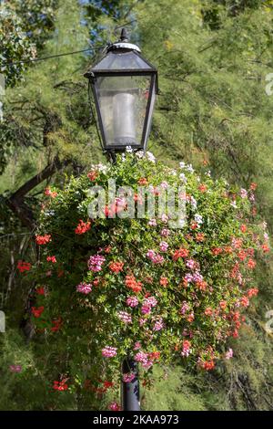 Hanging basket of flowers on a lamp post, Šetalište uz Mlinove, promendae by river Gradna , Samobor, Croatia Stock Photo