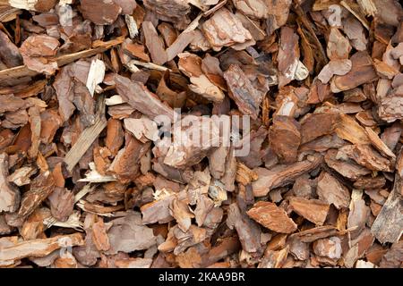 Background texture of a scattering of pine bark chips, top view. Stock Photo