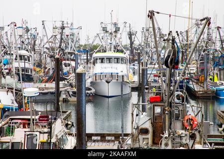 Commercial and charter fishing boats in foggy harbor; Kodiak; Kodiak Island; Alaska; USA Stock Photo