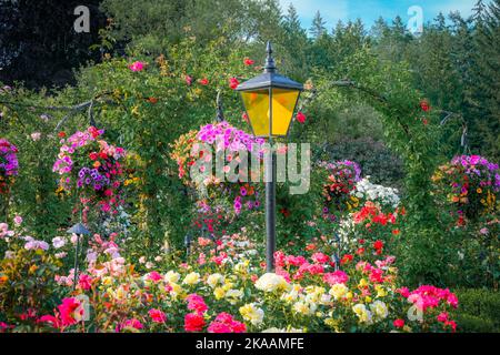 Rose Garden, Butchart Gardens, Brentwood Bay, Greater Victoria, British Columbia, Canada Stock Photo