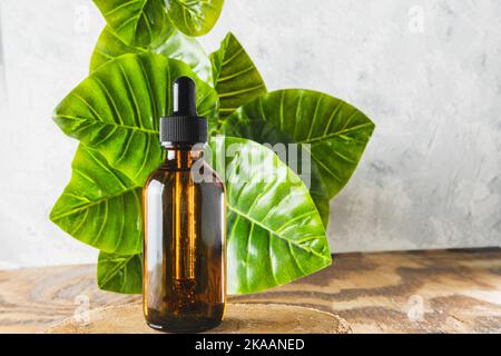 Amber dropper bottle of essential oils in front of a green leaves background with copy space Stock Photo