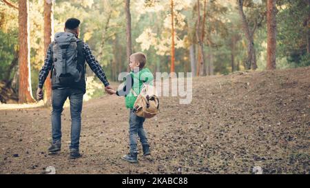 Back view of happy family child and caring father walking in forest with backpacks holding hands and talking, boy is throwing pine cones. Nature, fatherhood and autumn concept. Stock Photo