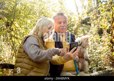 Mature caucasian couple using the mobile phone during a trekking in the forest Stock Photo