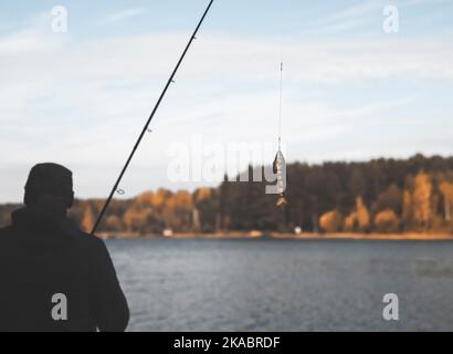 Swim bait or wobbler on fishing rod for predator fish and pike in palm  Stock Photo - Alamy