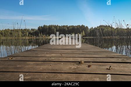 Summer landscape with wood long jetty or wooden pier in perspective, way over lake or river, forest on horizon and clear blue sky. Stock Photo