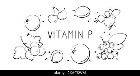 Vitamin P bioflavonoids. Groups of healthy products containing vitamins and minerals. Set of fruits, vegetables, meats, fish and dairy Stock Vector