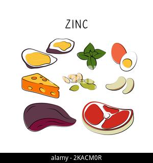 Zinc-containing food. Groups of healthy products containing vitamins and minerals. Set of fruits, vegetables, meats, fish and dairy. Stock Vector