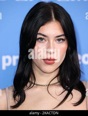 WESTWOOD, LOS ANGELES, CALIFORNIA, USA - NOVEMBER 01: Cynthia Parker arrives at the Los Angeles Premiere Of Amazon Prime Video's 'My Policeman' held at the Regency Bruin Theatre on November 1, 2022 in Westwood, Los Angeles, California, United States. (Photo by Xavier Collin/Image Press Agency) Stock Photo