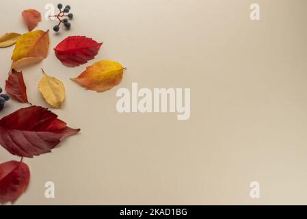 Autumn seasonal background with falling autumn leaves. Top view and copy space for text Stock Photo