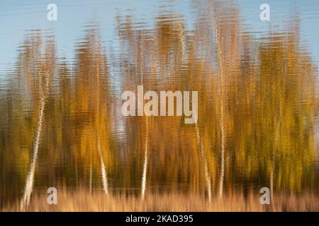 Trees of different colors of autumn reflected in the water. Photo impressions Stock Photo