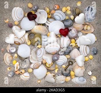 Shells on sand with Padlock & Key Stock Photo
