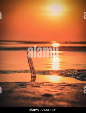 Beautiful sunrise over the sea. Feather reflecting in the water on a beach in Łeba, Poland. Stock Photo