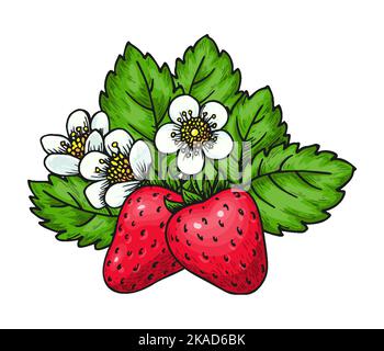 Sweet strawberry hand drawn clip art. Cartoon healthy fresh farm organic berry. Forest wild strawberries. Blooming bush of red berries with flowers and green leaves for poster print, sticker, patch Stock Vector