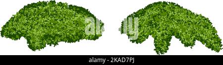 Set of bright green moss bushes or forest lichen with realistic texture isolated on white background Stock Vector