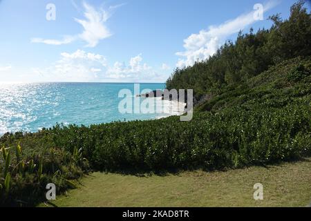 The wild plants and rock formations at the cliffside of the west Whale Bay beach on a sunny day in Southampton Parish, Bermuda Stock Photo